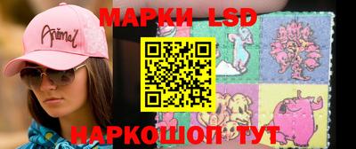 a pvp Ставрополь