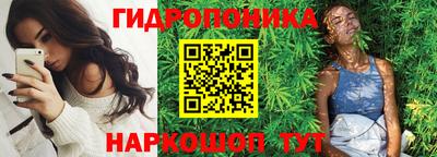 a pvp Ставрополь