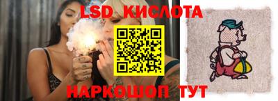 a pvp Ставрополь