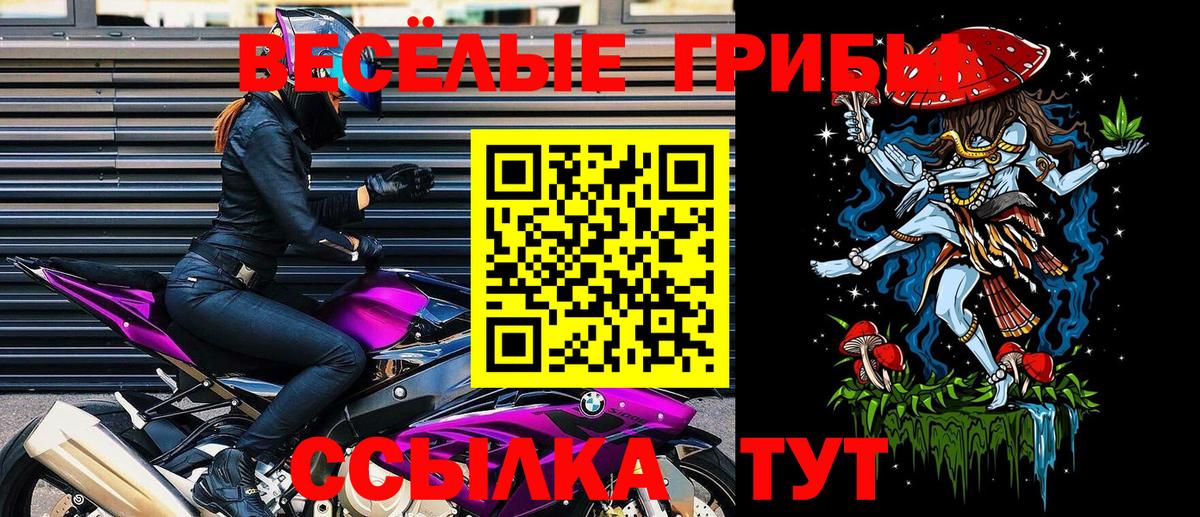 Галлюциногенные грибы мицелий Киреевск