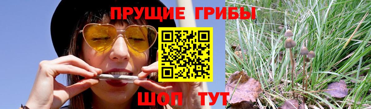 Псилоцибиновые грибы Cubensis  Вход с VPN  Галлюциногенные грибы Psilocybine cubensis  Киреевск 